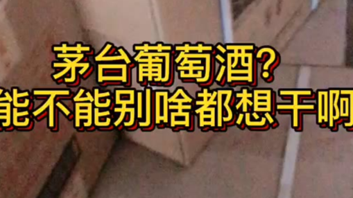 茅台葡萄酒?对,你没听错,就是茅台葡萄酒